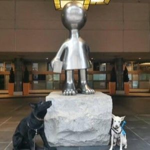 Meet your Posher, Christine